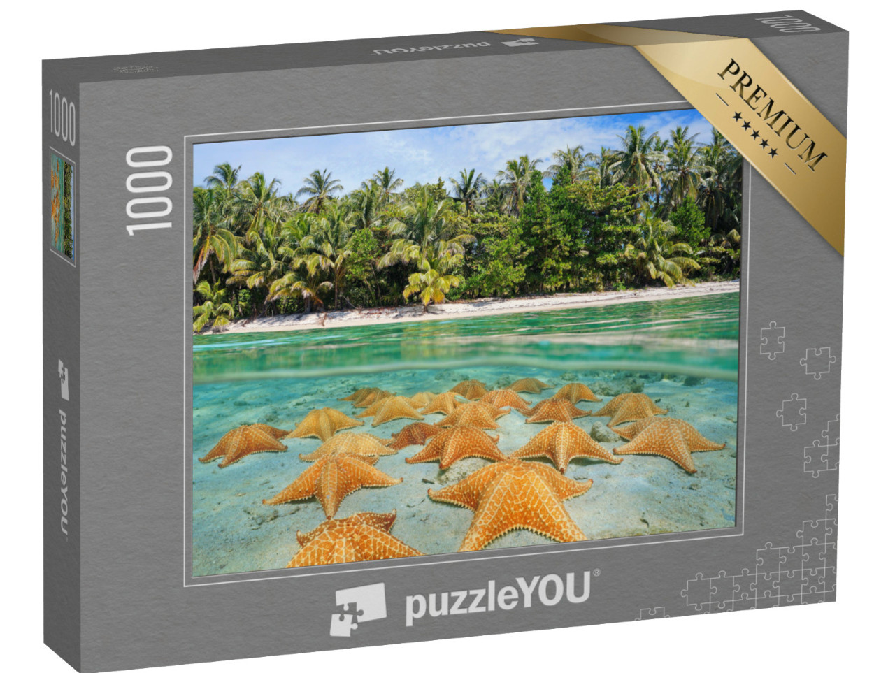 puzzle 1000 dílků „Skupina hvězdic na karibské pláži“