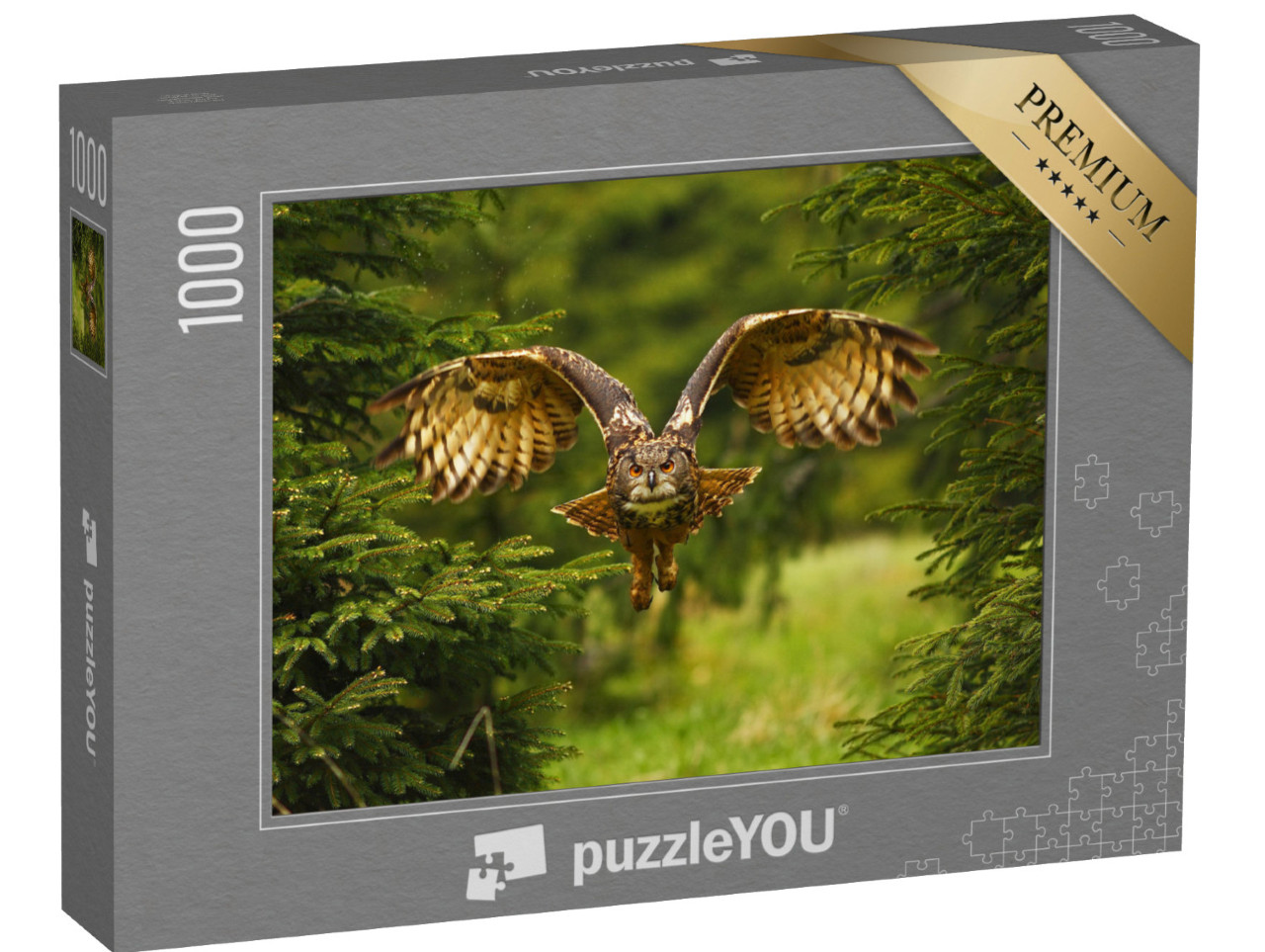 puzzle 1000 dílků „Fotografie létajícího výra velkého“