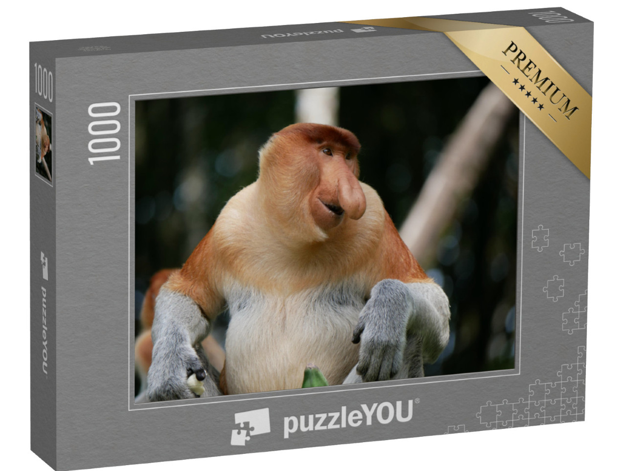 puzzle 1000 dílků „Dospělý samec chobotnaté opice nebo opice s dlouhým nosem“