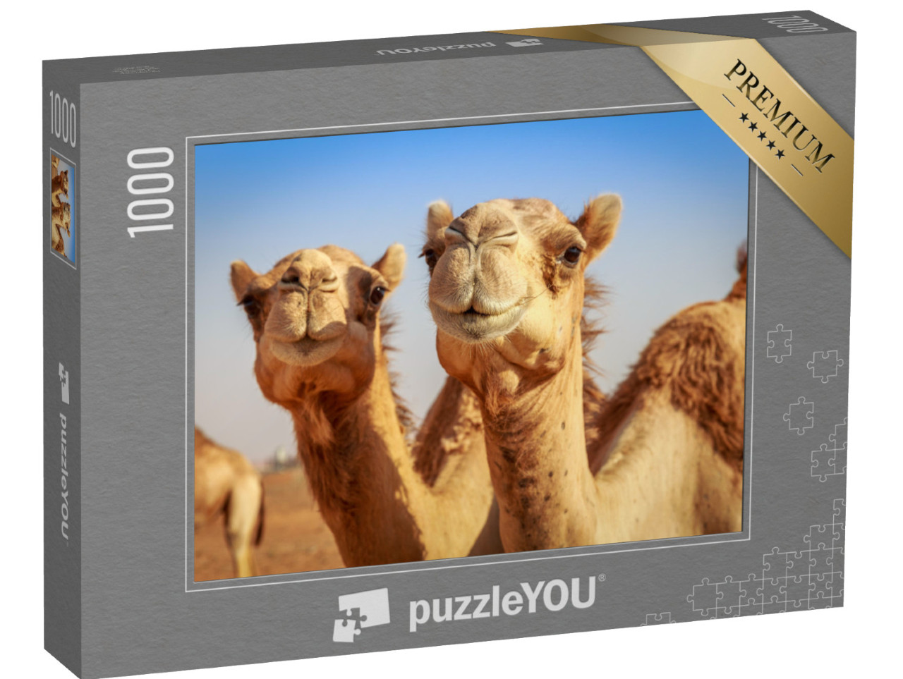 puzzle 1000 dílků „Velbloudi ve volné přírodě v Arábii“