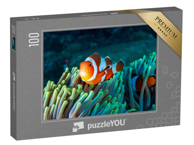 puzzle 100 dílků „Barevní klauni v sasance na korálovém útesu“