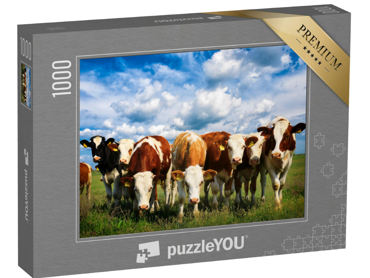 puzzle 1000 dílků „Krávy na zelené letní louce“