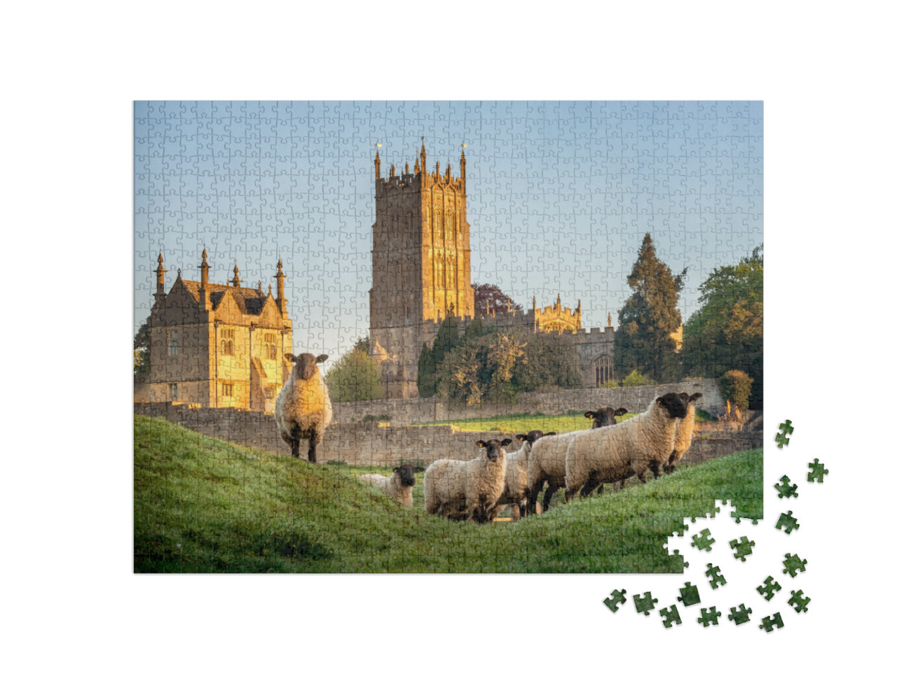 puzzle 1000 dílků „Cotswoldské ovce u Chipping Campden v hrabství Gloucestershire“