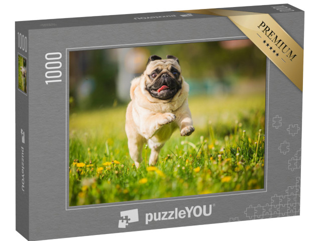 puzzle 1000 dílků „Mops v plném běhu po pampeliškové louce“