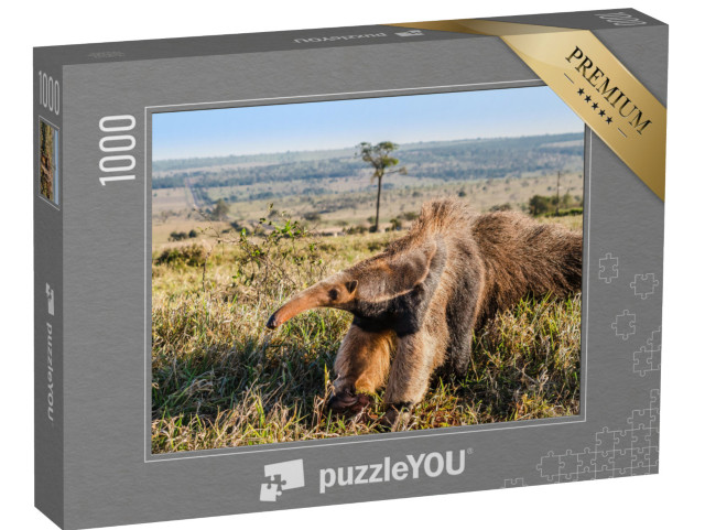 puzzle 1000 dílků „Divoký mravenečník obrovský na pastvině“