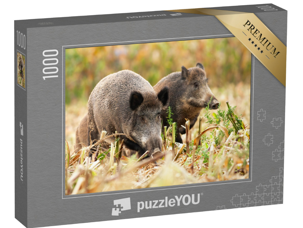 puzzle 1000 dílků „Stádo divokých prasat“