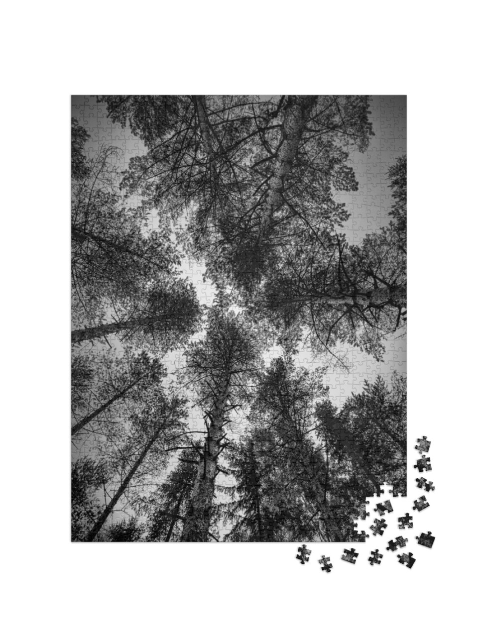 puzzle 1000 dílků „Černobílé obrázky krajiny“
