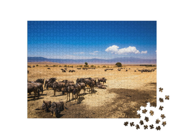 puzzle 1000 dílků „Kráter Ngorongoro v Tanzanii“