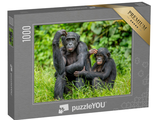 puzzle 1000 dílků „Samice bonobo s mládětem v Kongu, Afrika“