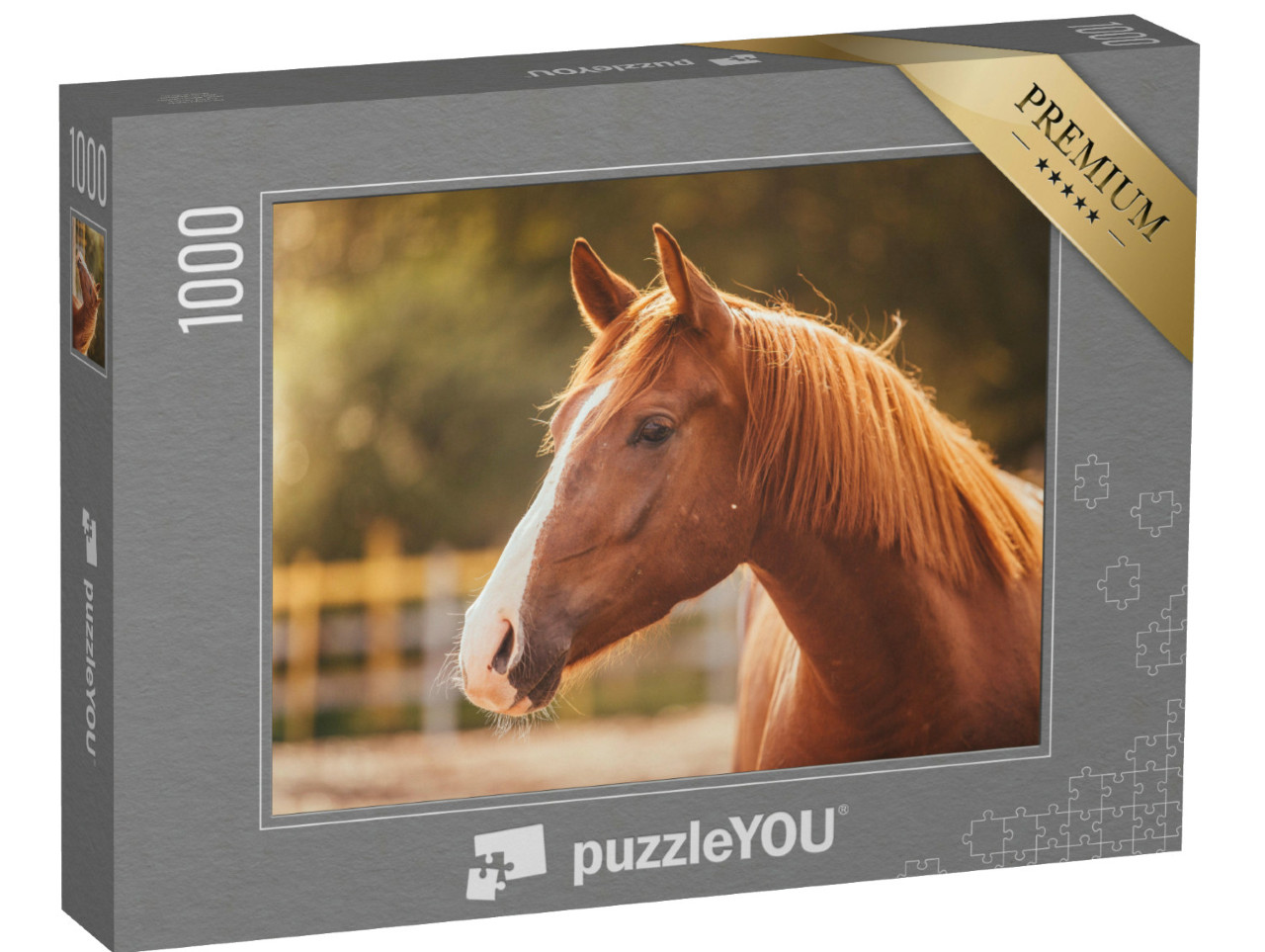 puzzle 1000 dílků „Portrét koně ve večerním světle“