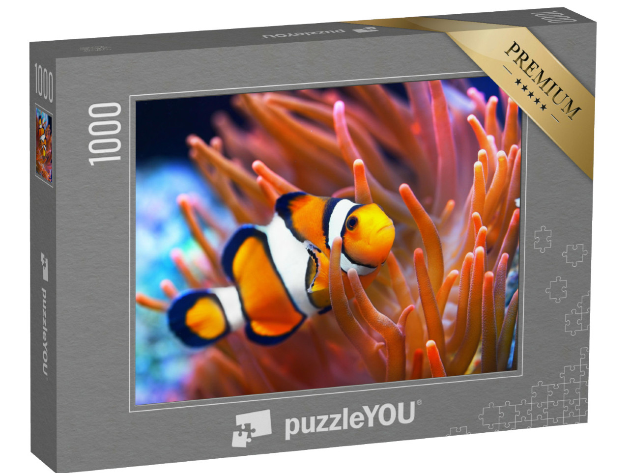 puzzle 1000 dílků „Amphiprion ocellaris, klaun, mořský“