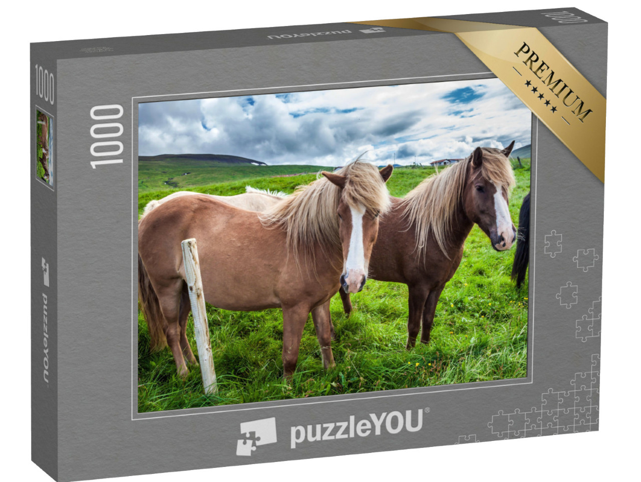 puzzle 1000 dílků „Islandští koně v islandské tundře“