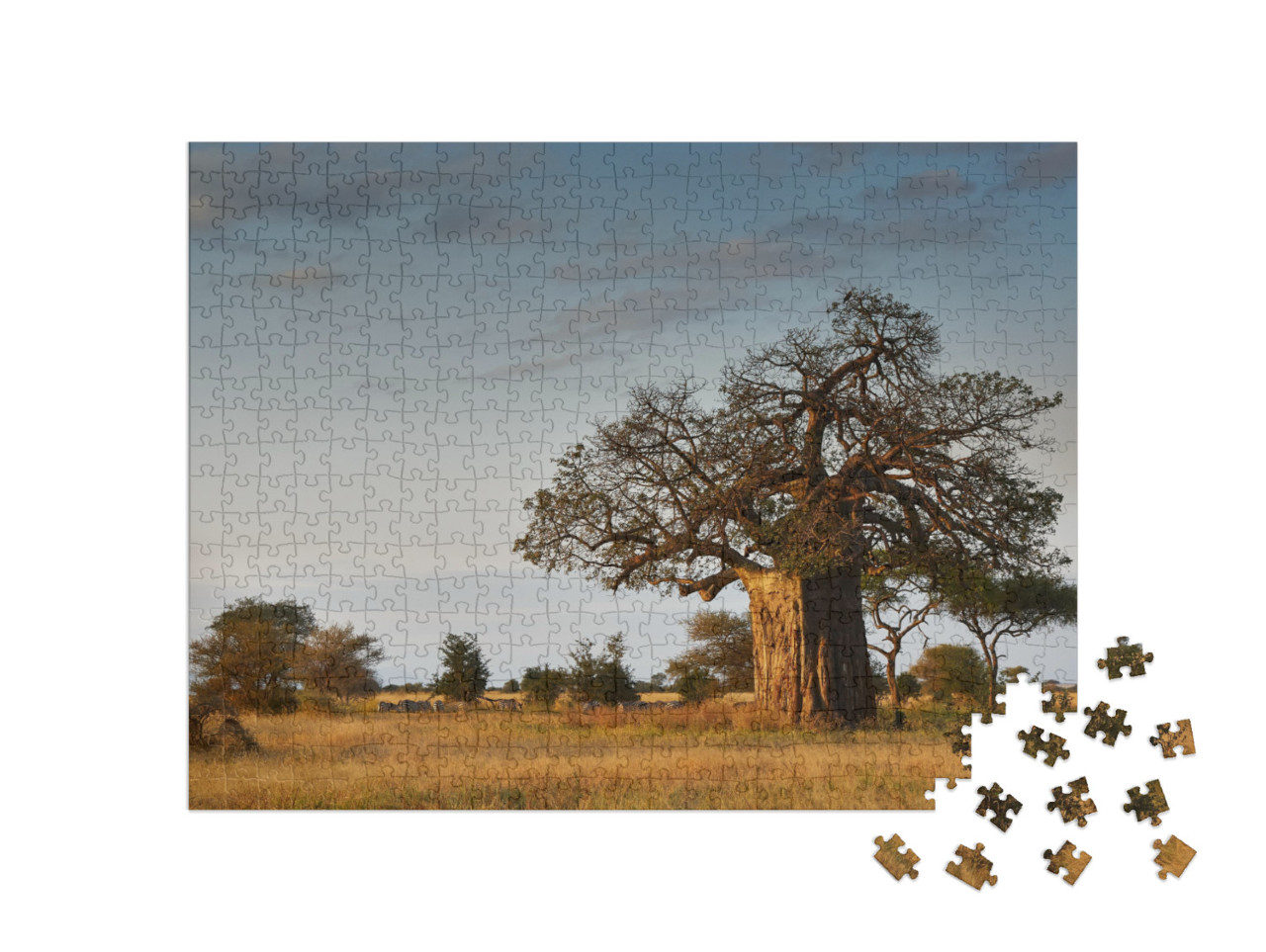 puzzle 500 dílků „Africká krajina s velkým baobabem“