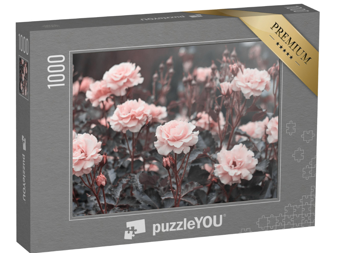 puzzle 1000 dílků „Jemné růžové růže v zahradě“