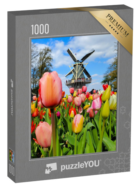 puzzle 1000 dílků „Větrný mlýn v tulipánovém poli, Nizozemsko“