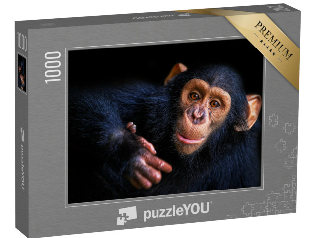 puzzle 1000 dílků „Šimpanzi“