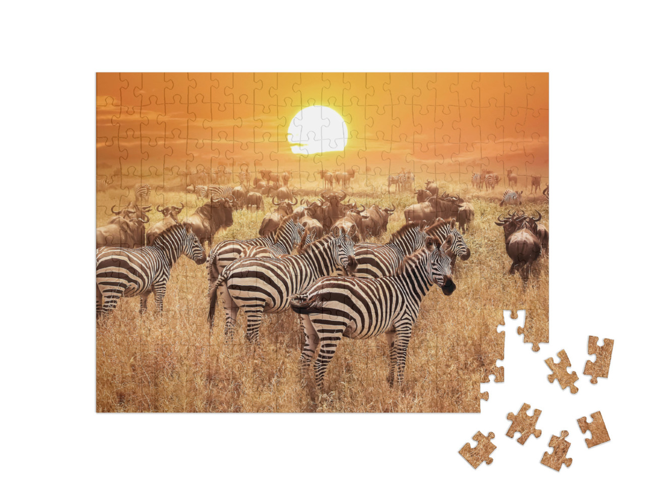 puzzle 200 dílků „Zebra při západu slunce v národním parku Serengeti, Afrika, Tanzanie“