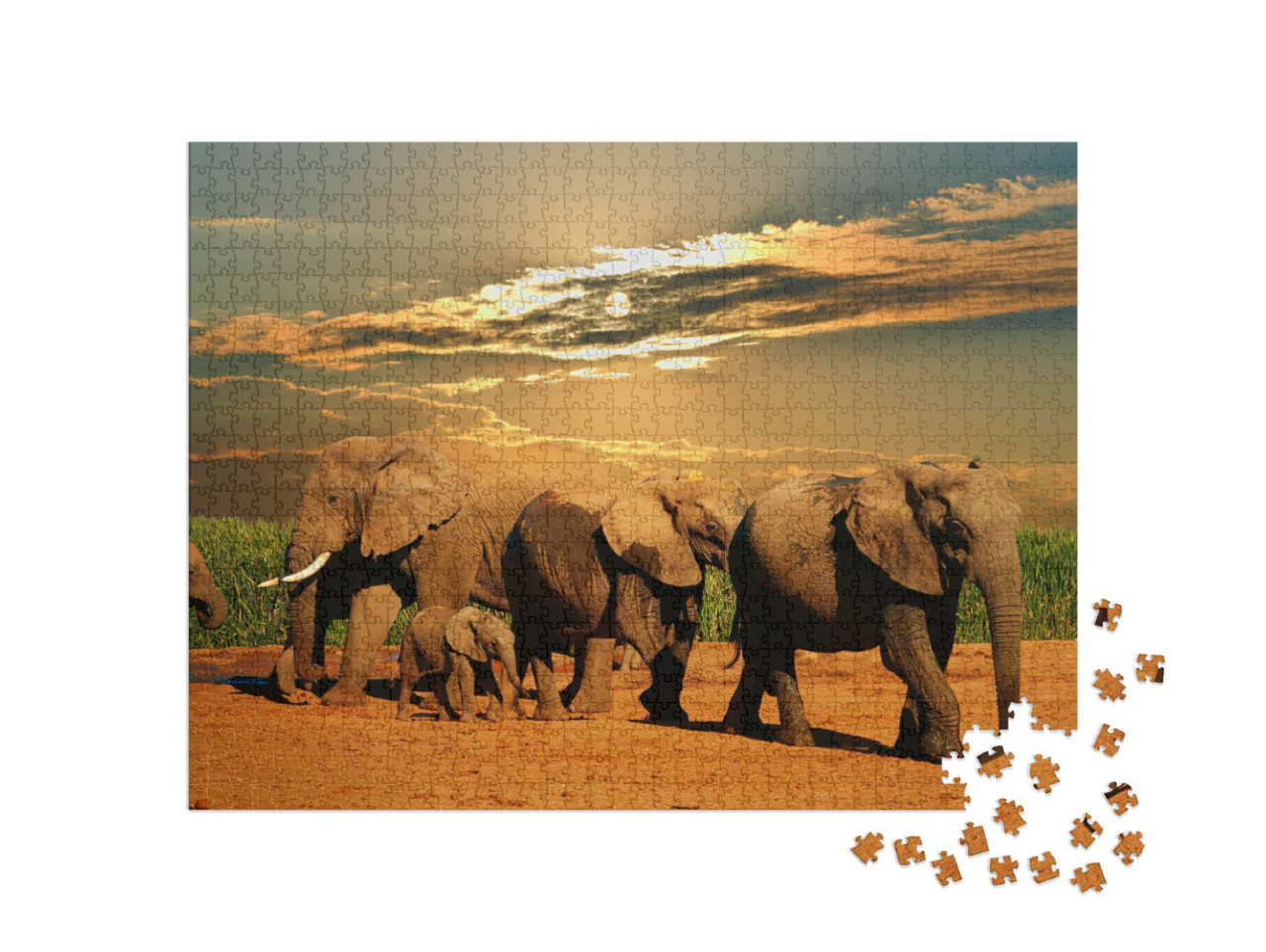 puzzle 1000 dílků „Stádo slonů afrických, Národní park Addo Elephant, Jihoafrická republika“