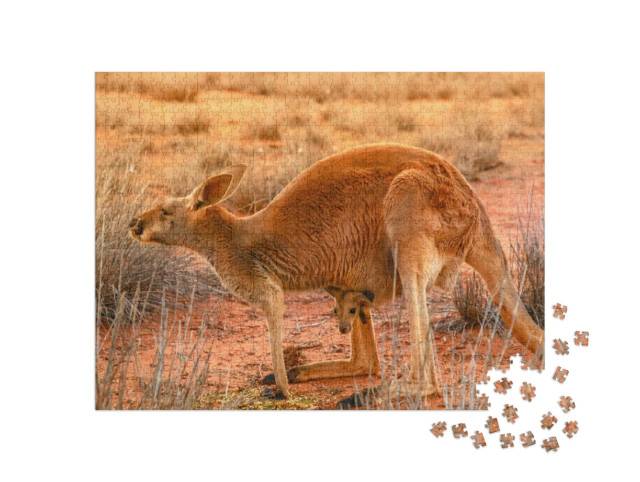 puzzle 1000 dílků „Klokaní matka s mláďaty v červeném písku ve vnitrozemí střední Austrálie“