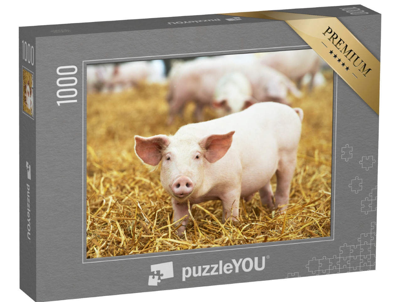 puzzle 1000 dílků „Selata na seně a slámě“