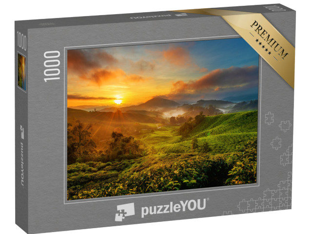 puzzle 1000 dílků „Východ slunce nad čajovou plantáží v Cameron Highland, Malajsie“