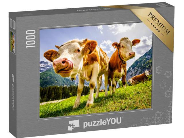 puzzle 1000 dílků „Zvědavé krávy na Eng Alm v Rakousku“