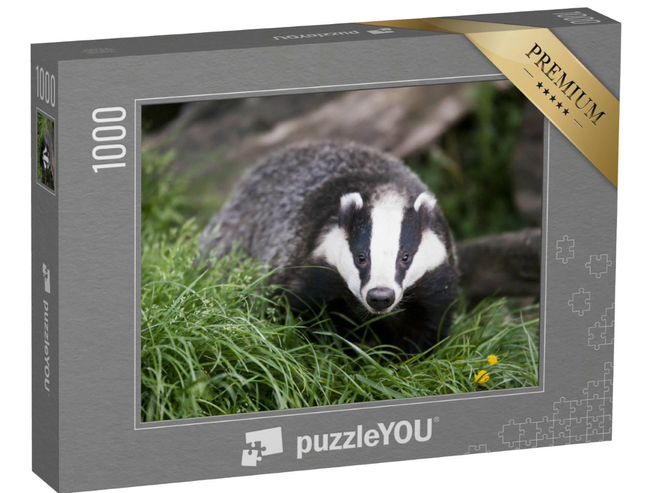 puzzle 1000 dílků „Jezevec evropský, známý také jako jezevec euroasijský“