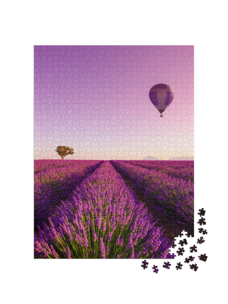puzzle 1000 dílků „Východ slunce nad levandulovým polem v Provence, Francie“