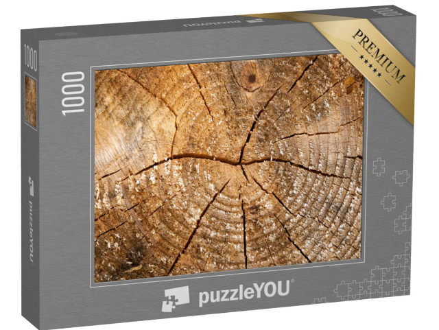 puzzle 1000 dílků „Zvětralé dřevo s letokruhy“