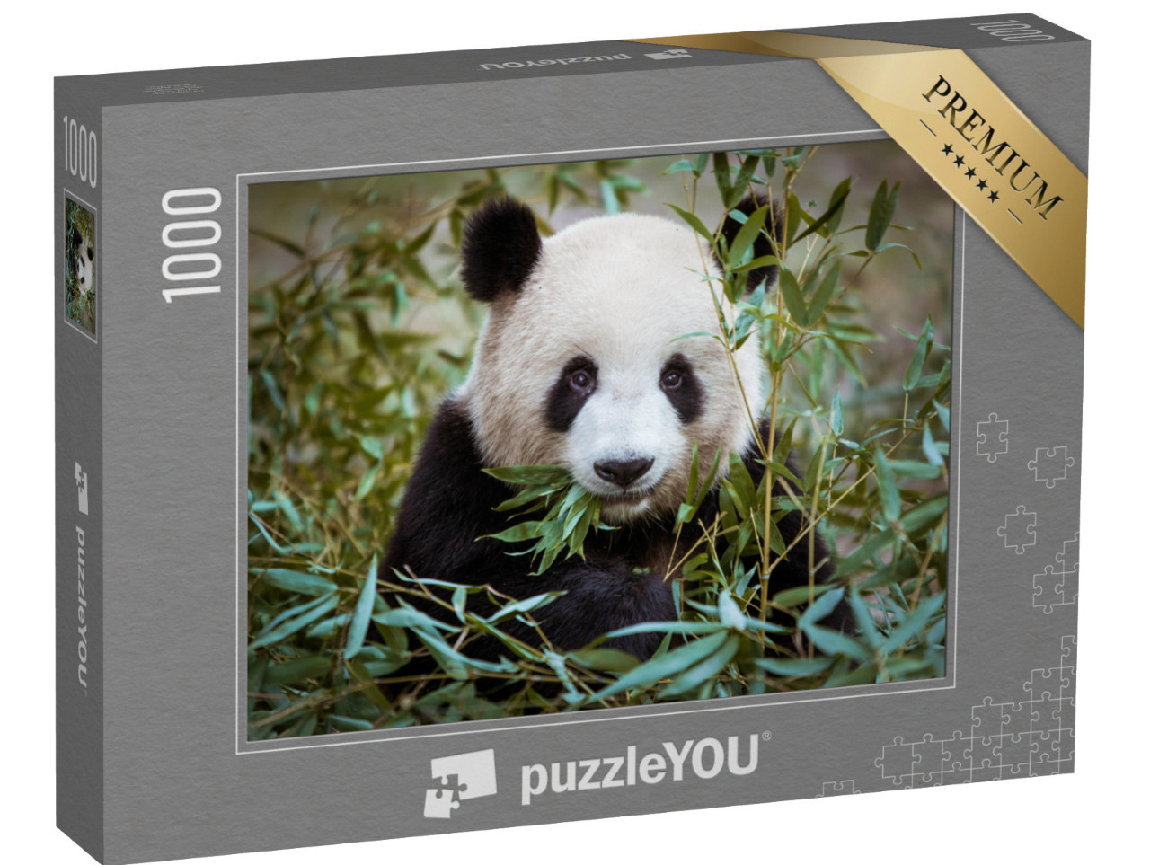 puzzle 1000 dílků „Panda velká s tlamou plnou bambusu“