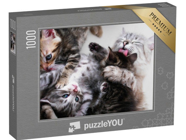 puzzle 1000 dílků „Matka kočka a kotě“