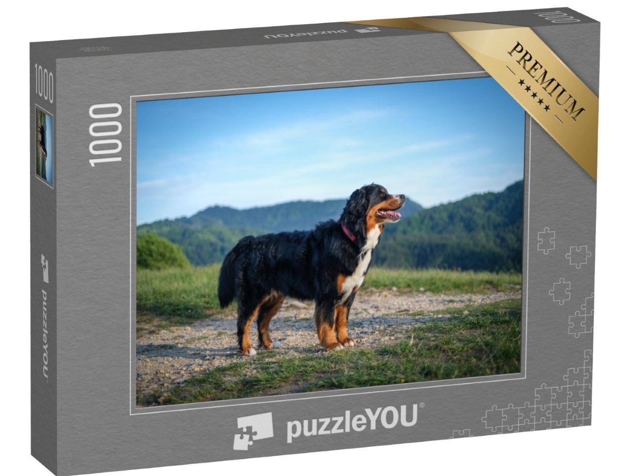 puzzle 1000 dílků „Večerní opalování bernského salašnického psa“