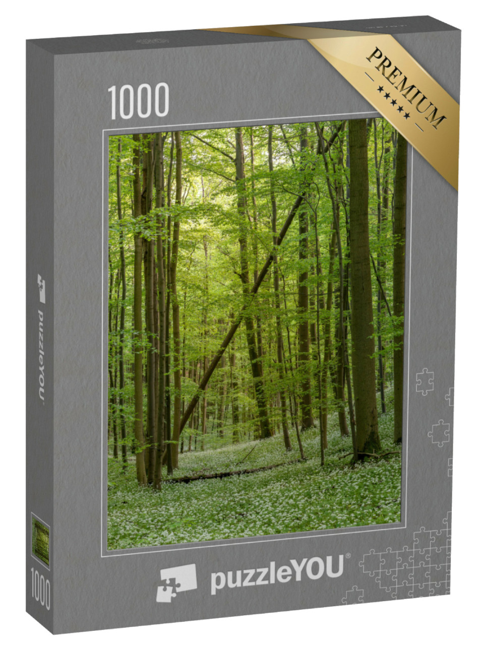 puzzle 1000 dílků „Divoký česnek v květu, Národní park Hainich, Durynsko“