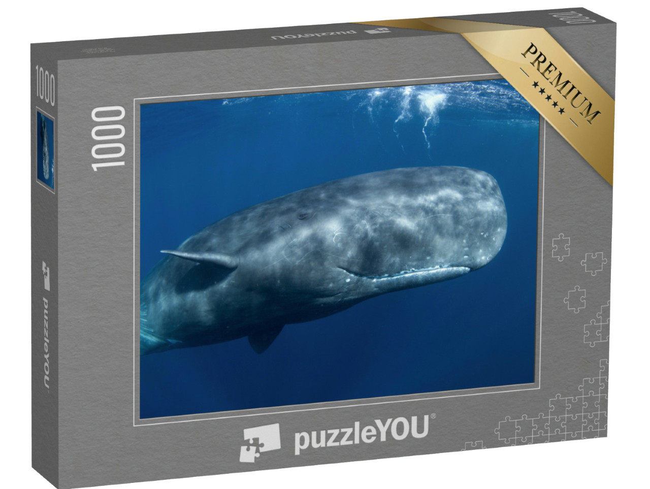 puzzle 1000 dílků „Velryba vorvaň, Physeter macrocephalus, v Indickém oceánu“