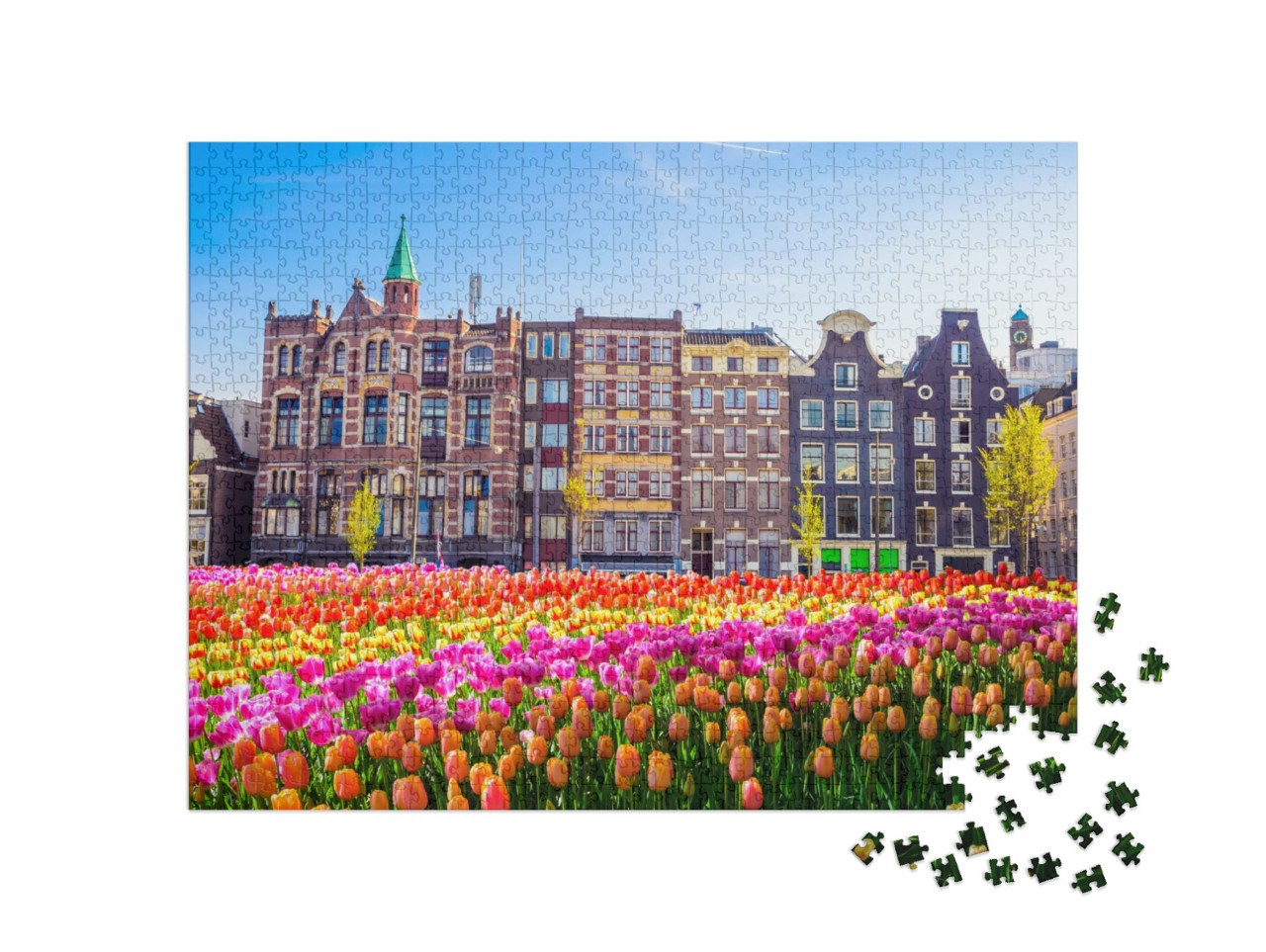 puzzle 1000 dílků „Tradiční staré budovy a tulipány v Amsterdamu, Nizozemsko“