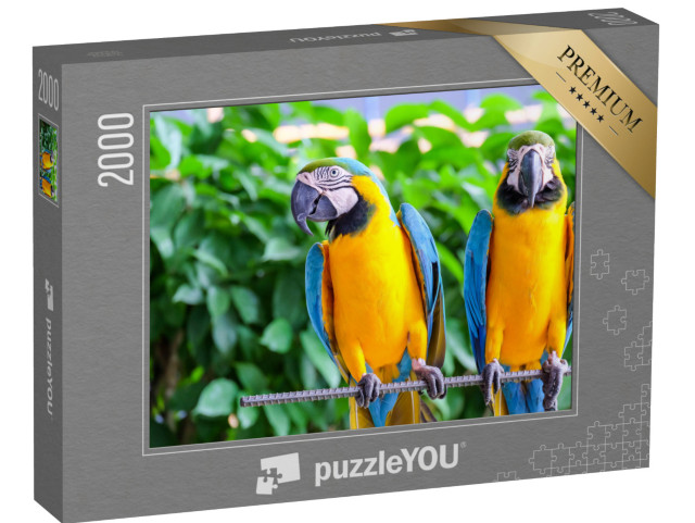 puzzle 2000 dílků „Papoušek ara dlouhoocasý s pestrým peřím“