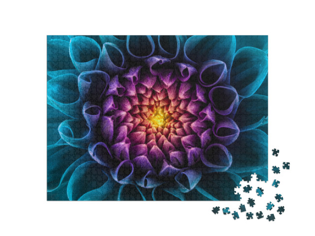 puzzle 1000 dílků „Fialové a modré chryzantémy“