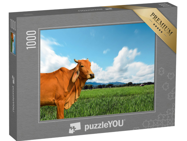 puzzle 1000 dílků „Kráva na zelené pastvině“