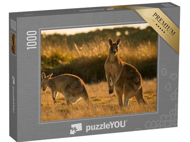 puzzle 1000 dílků „Klokan při západu slunce, otevřené pole“