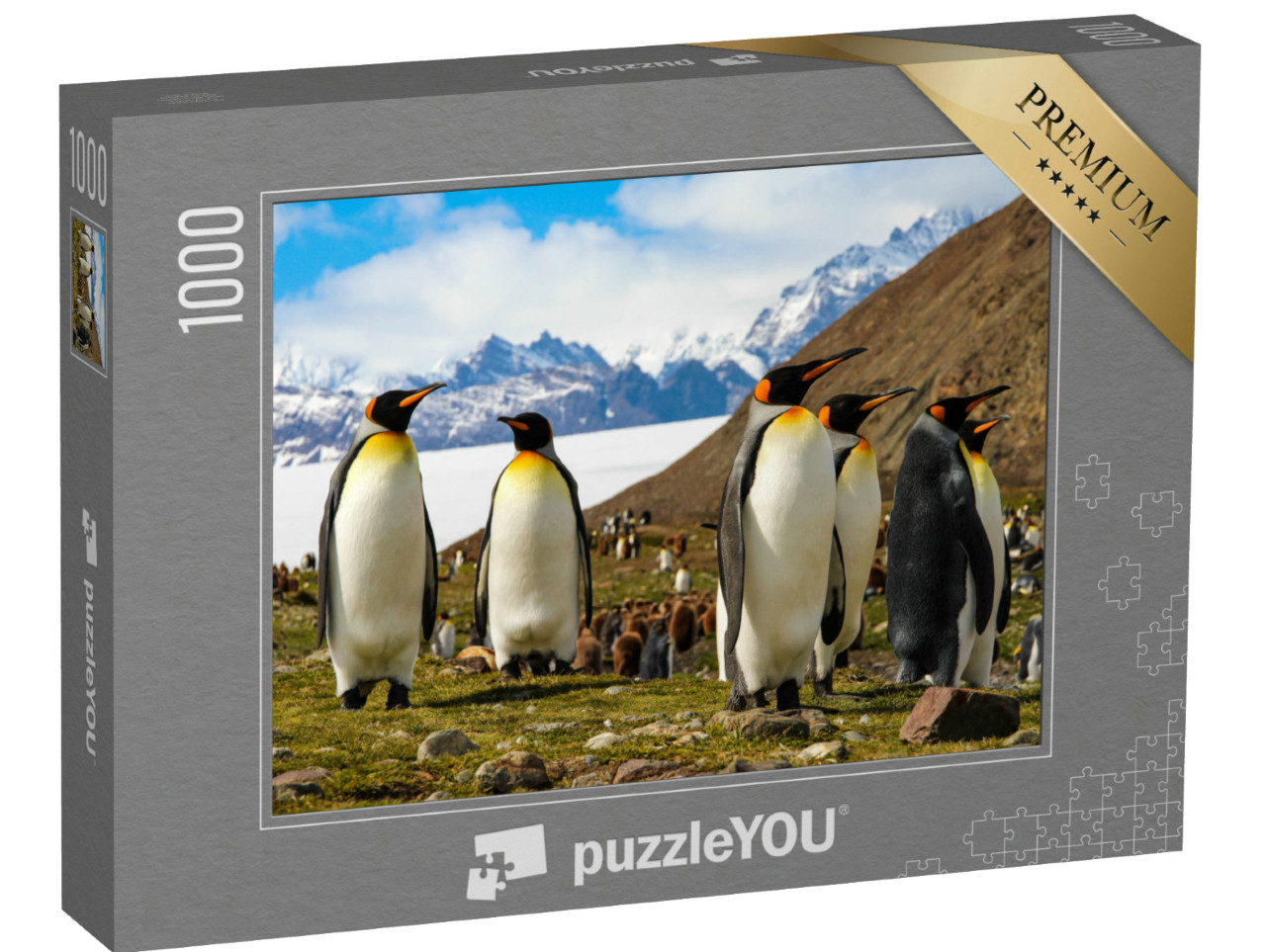 puzzle 1000 dílků „Tučňáci královští na ostrově Jižní Georgie v Antarktidě“
