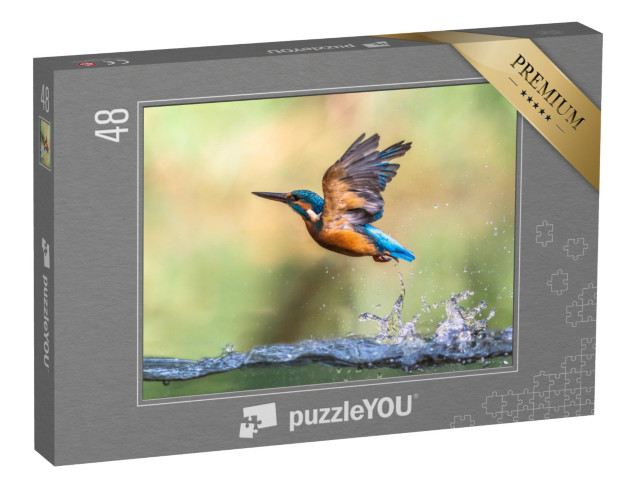 puzzle 48 dílků „Z vody vylétá rybák“