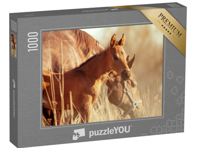 puzzle 1000 dílků „Klisna a hříbě při západu slunce“