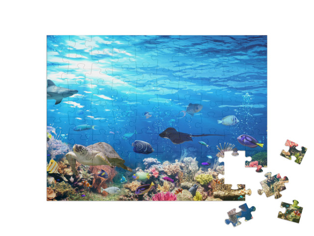 puzzle 100 dílků „Podmořská scéna s korálovým útesem, rybami, žraloky, želvou a mantou“
