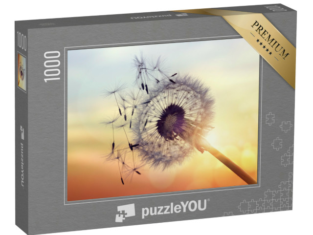 puzzle 1000 dílků „Silueta pampelišky při západu slunce se semeny...“