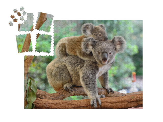 SMART SORTED® | Puzzle 1000 dílků „Matka koala s mládětem na zádech na eukalyptovém stromě“