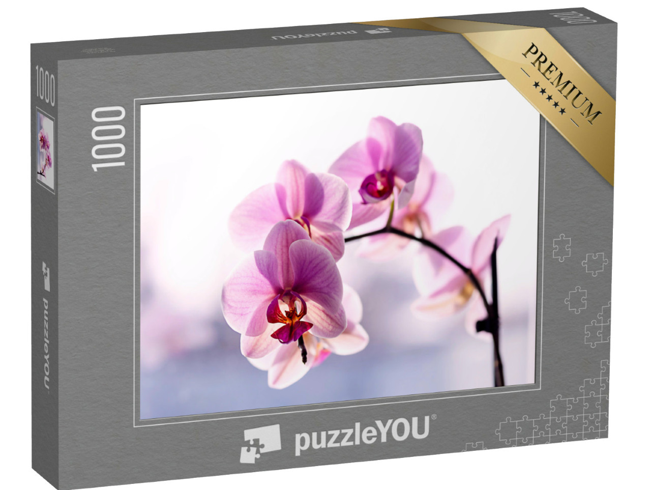 puzzle 1000 dílků „Krásná jemná orchidej v růžové barvě“