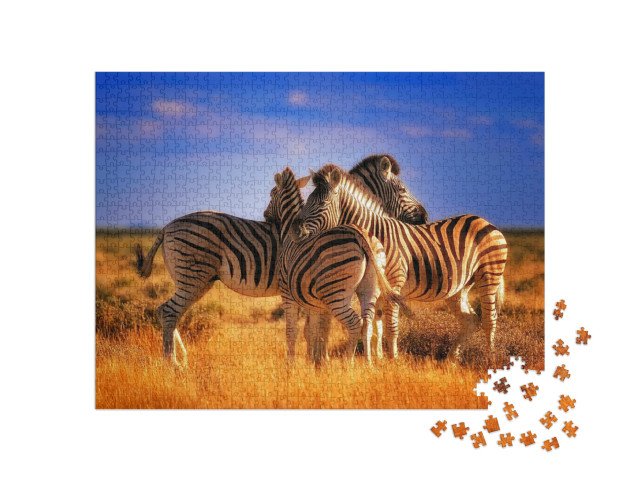 puzzle 1000 dílků „Tři zebry si dávají přestávku“