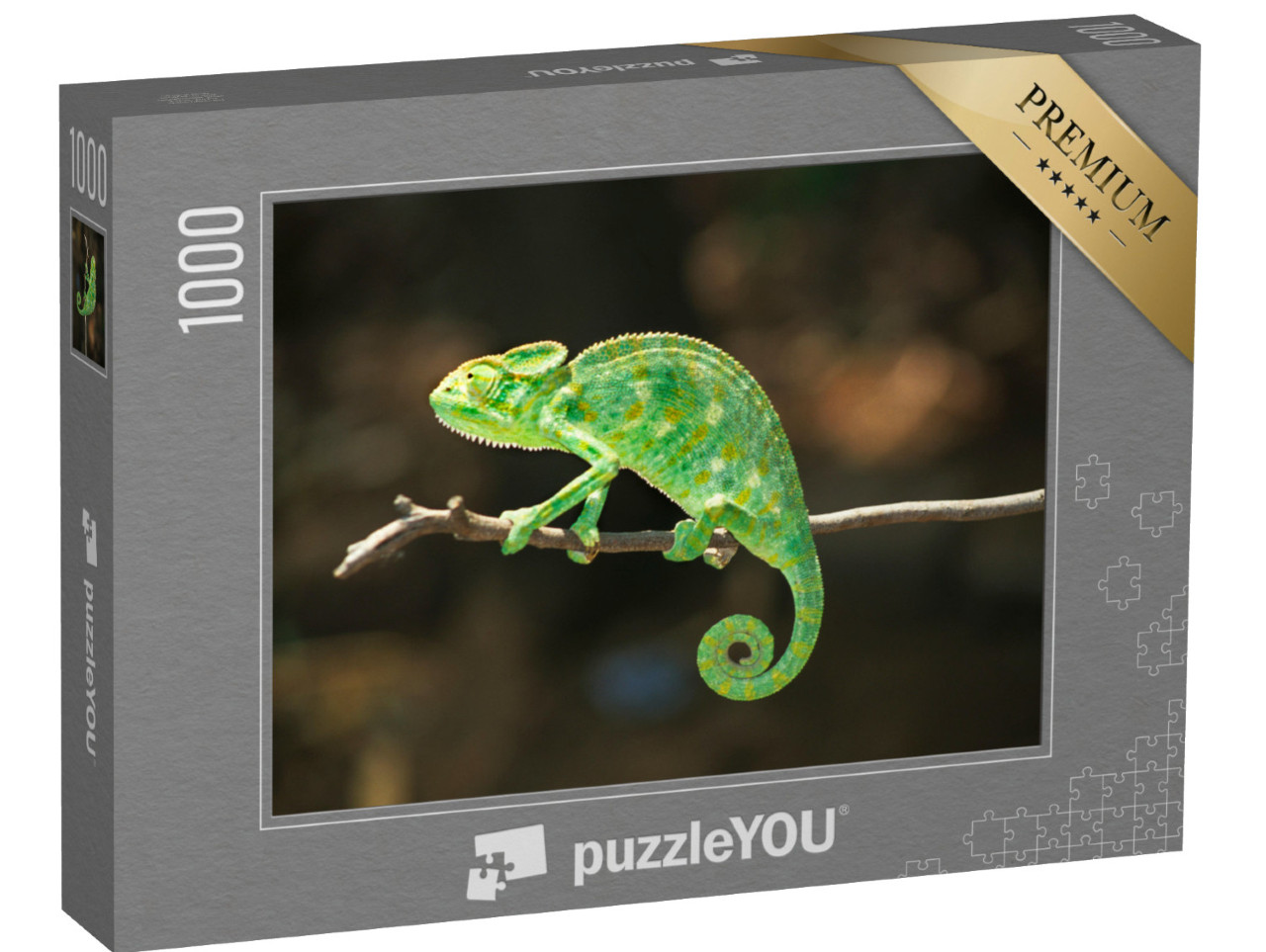 puzzle 1000 dílků „Chameleon jihoasijský, Chamaeleo zeylanicus“