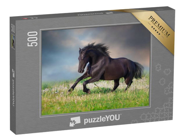 puzzle 500 dílků „Fríský kůň cválající na jarní zelené louce“