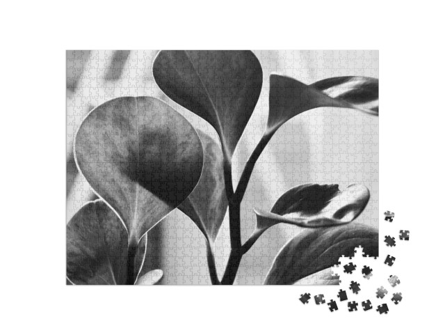 puzzle 1000 dílků „Černobílý záběr zblízka“